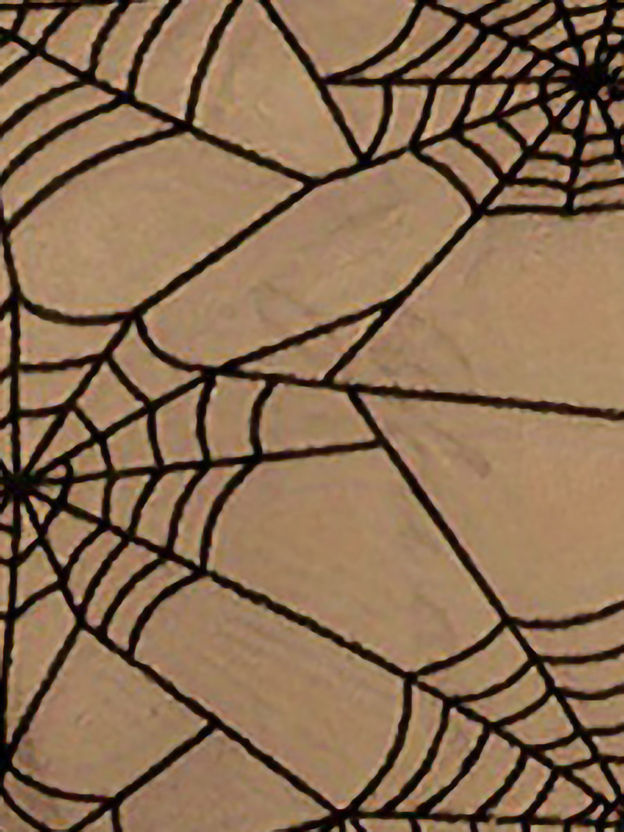 Halloween Spider Net Pattern Mesh Sheer Top