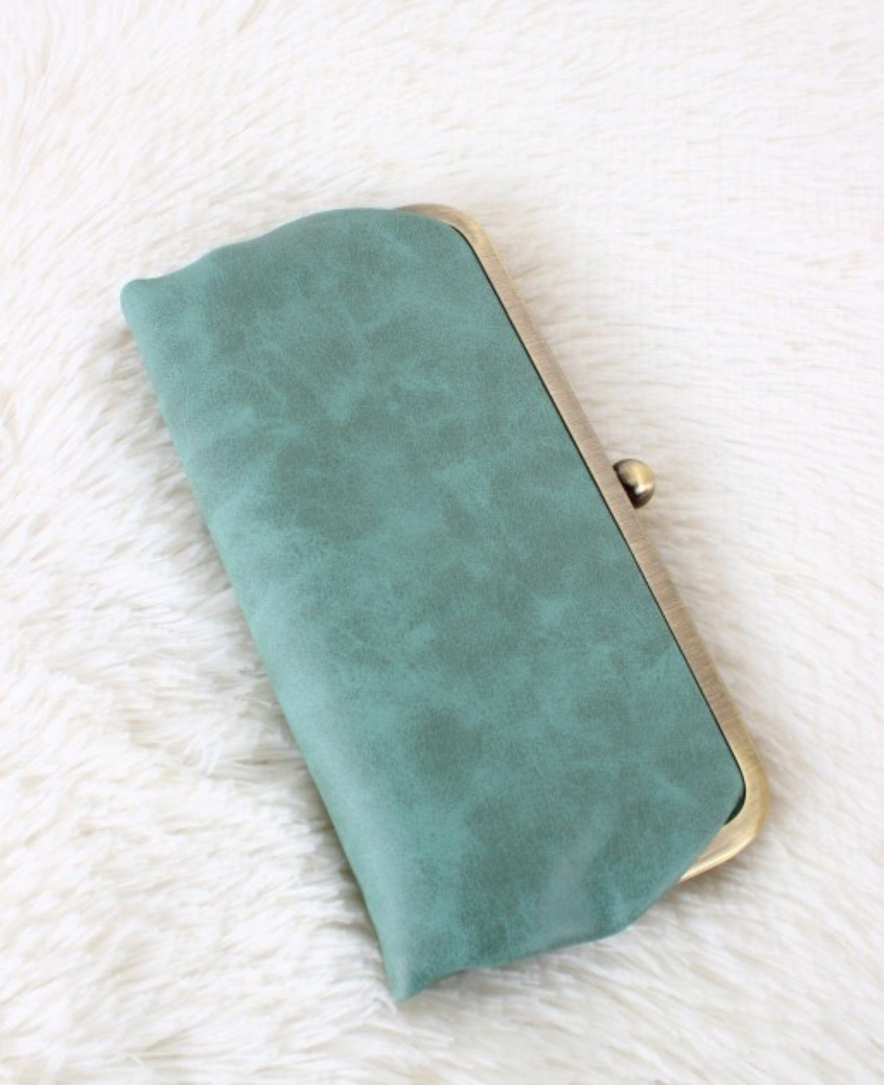 Collette Hobo Style Kiss Lock Wallet