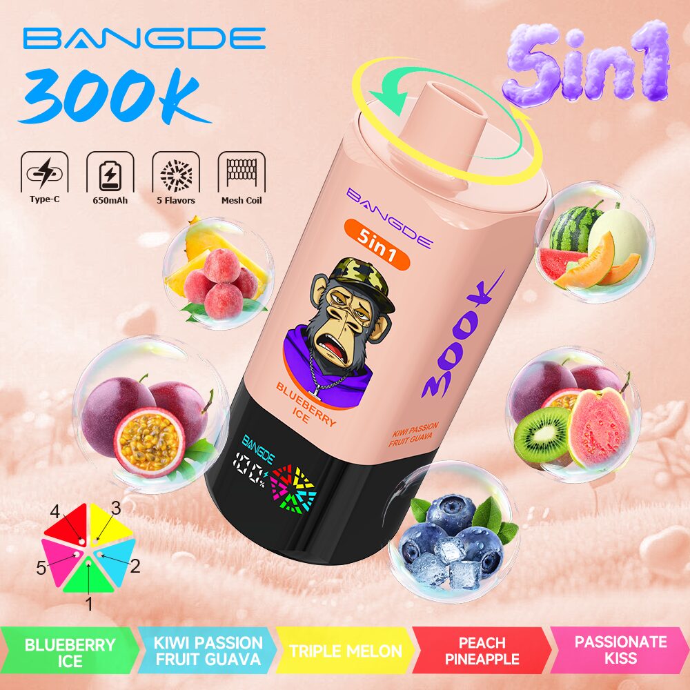 Bang DE 300K 300000 Vape 5-in-1 Flavors Rechargeable LED Display Disposable E-Cigarette