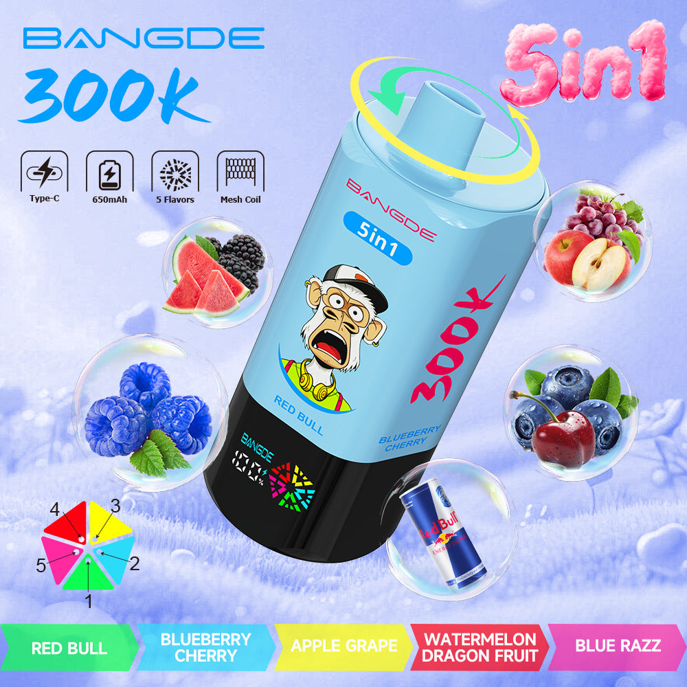 Bang DE 300K 300000 Vape 5-in-1 Flavors Rechargeable LED Display Disposable E-Cigarette
