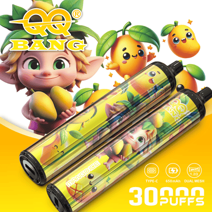 QQ Bang 30000 30K Puffs Original Disposable Vape Pen Type-C Rechargeable E-Cigarette