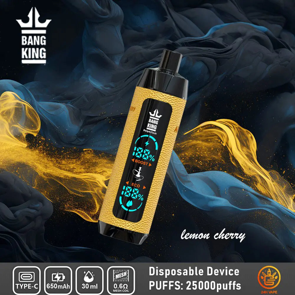Bang King Shisha 25000 25K Puffs Newest LED Display Leather Disposable Vape Pen