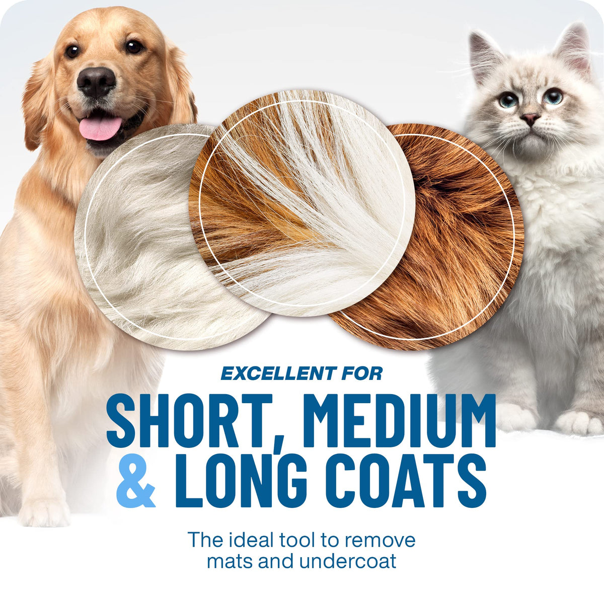 🐶Dual-Sided Pet Grooming Comb for Dogs & Cats