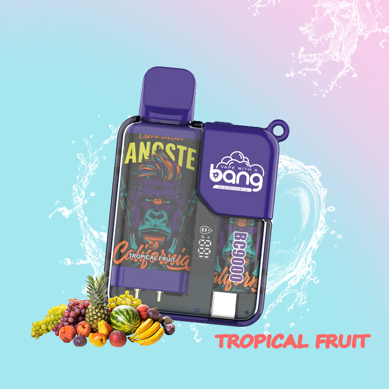Bang Box 9000 Puffs Original Edition LED Display Disposable Vape