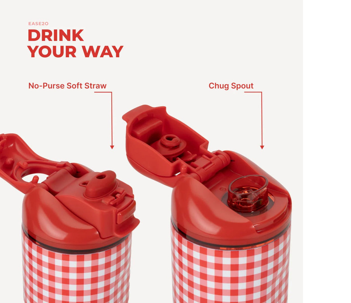 HydroJug Ease2o 32oz Summer Picnic