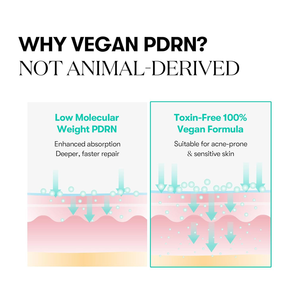 VT Cosmetics PDRN Capsule Cream 100