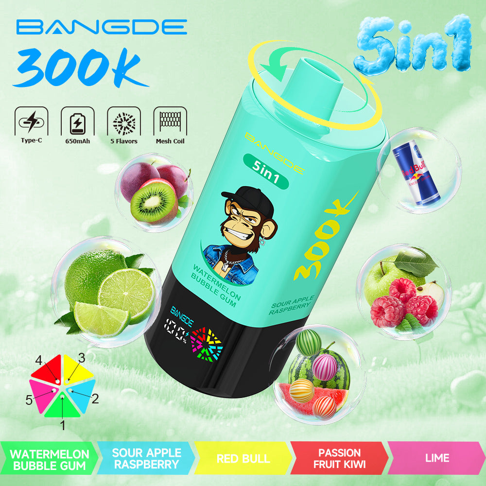 Bang DE 300K 300000 Vape 5-in-1 Flavors Rechargeable LED Display Disposable E-Cigarette