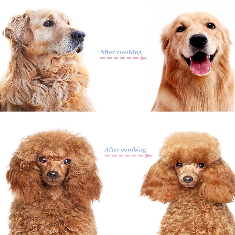 🐶Dual-Sided Pet Grooming Comb for Dogs & Cats