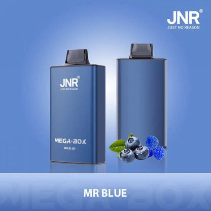 JNR Mega Box 25000 Puffs Original Edition Rechargeable Disposable Vape