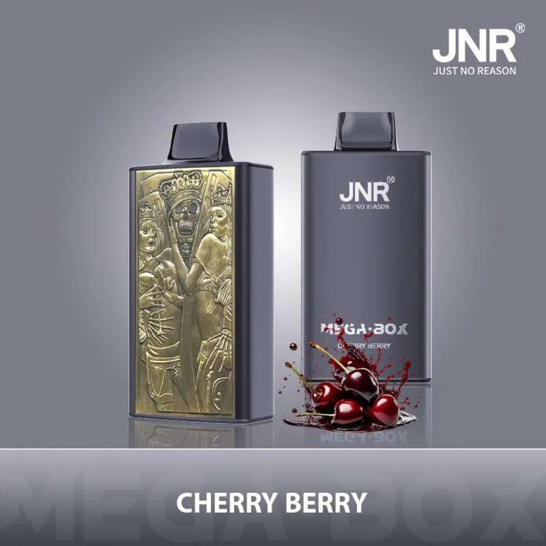 JNR Mega Box 25000 Puffs Original Edition Rechargeable Disposable Vape