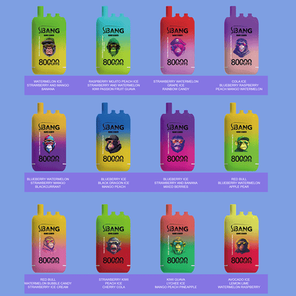 Bang Leader 80000 80K Puffs 3 in 1 Flavors Newest Original Rechargeable Disposable Vape