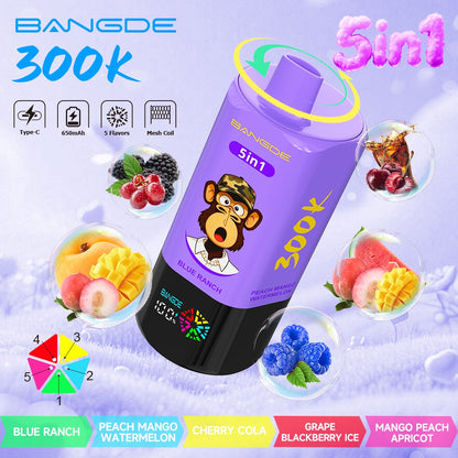 Bang DE 300K 300000 Vape 5-in-1 Flavors Rechargeable LED Display Disposable E-Cigarette