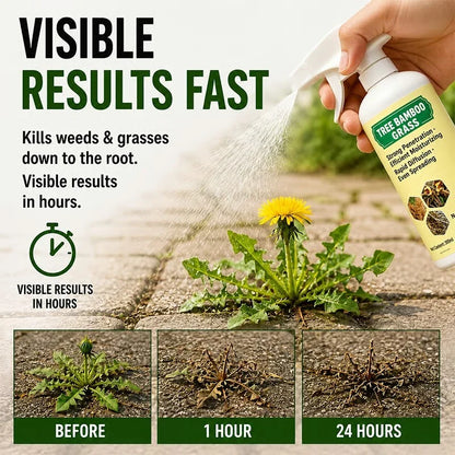 🔥Fast-Acting Natural Weed & Grass Killer Spray