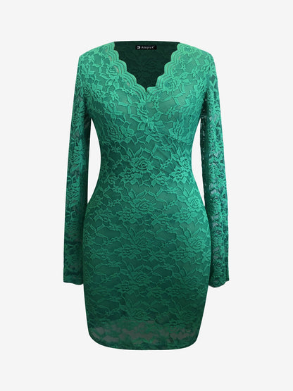 V Neck Lace Slim Fit Long Sleeve Bodycon Dress