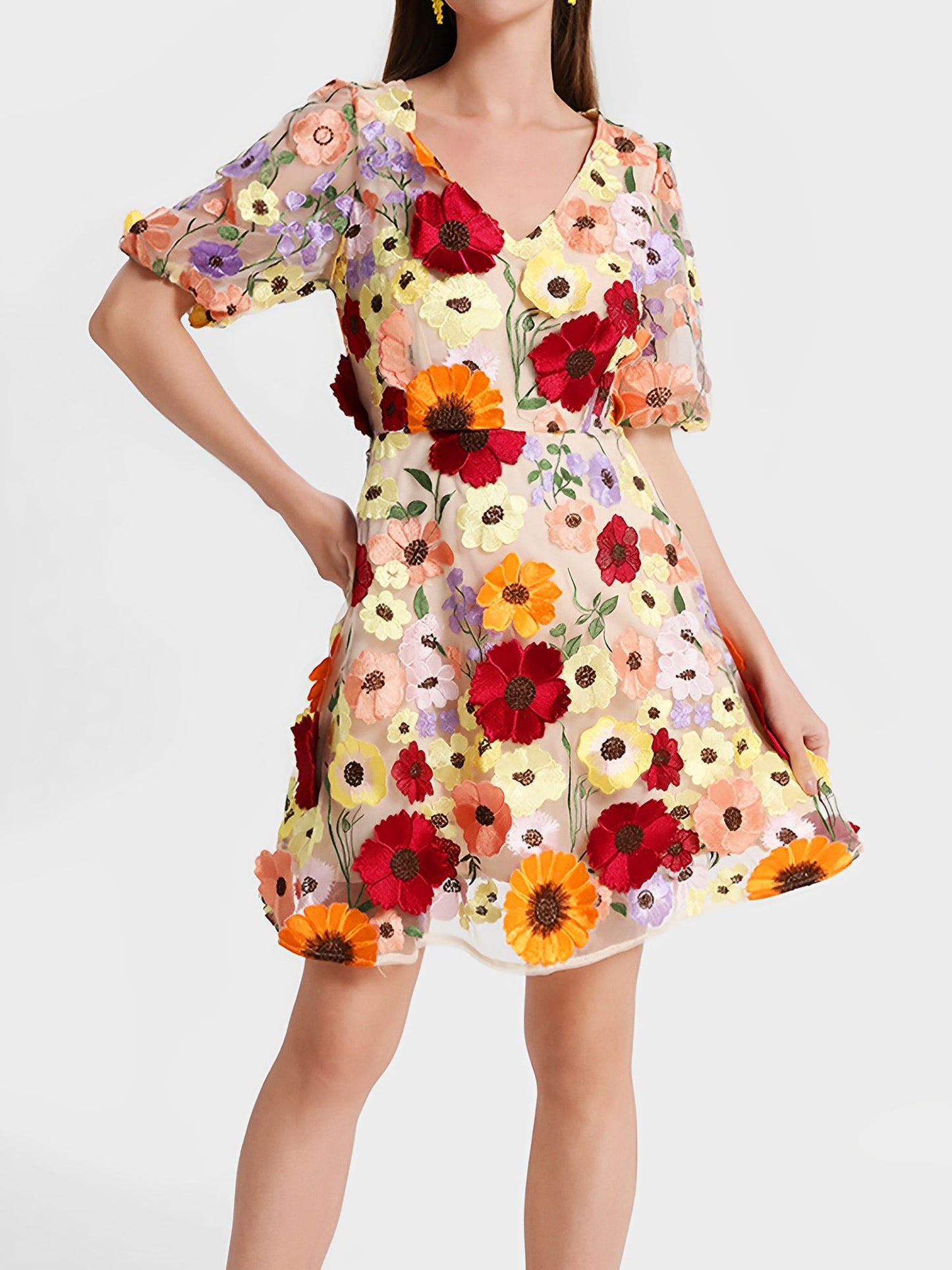 Flower Embroidered Puff Sleeves Mini A-Line Dress