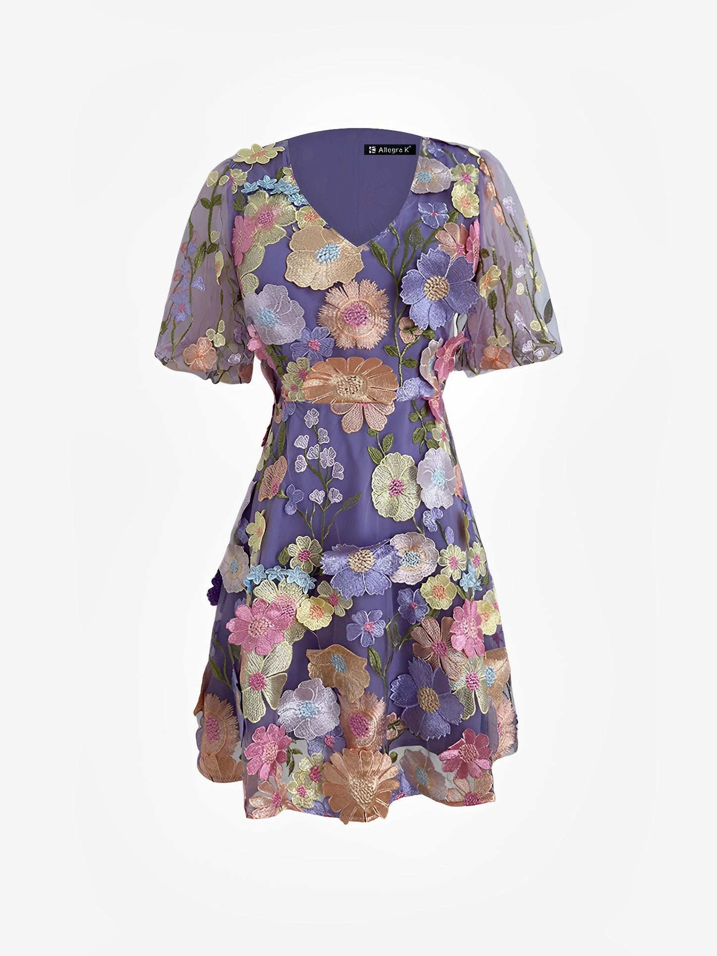 Flower Embroidered Puff Sleeves Mini A-Line Dress
