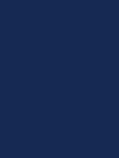 Velvet Long sleeve Round Neck A-Line Dress