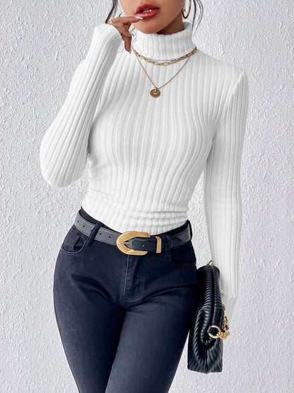 Turtleneck Long Sleeve Brushed Ribbed Knit Top