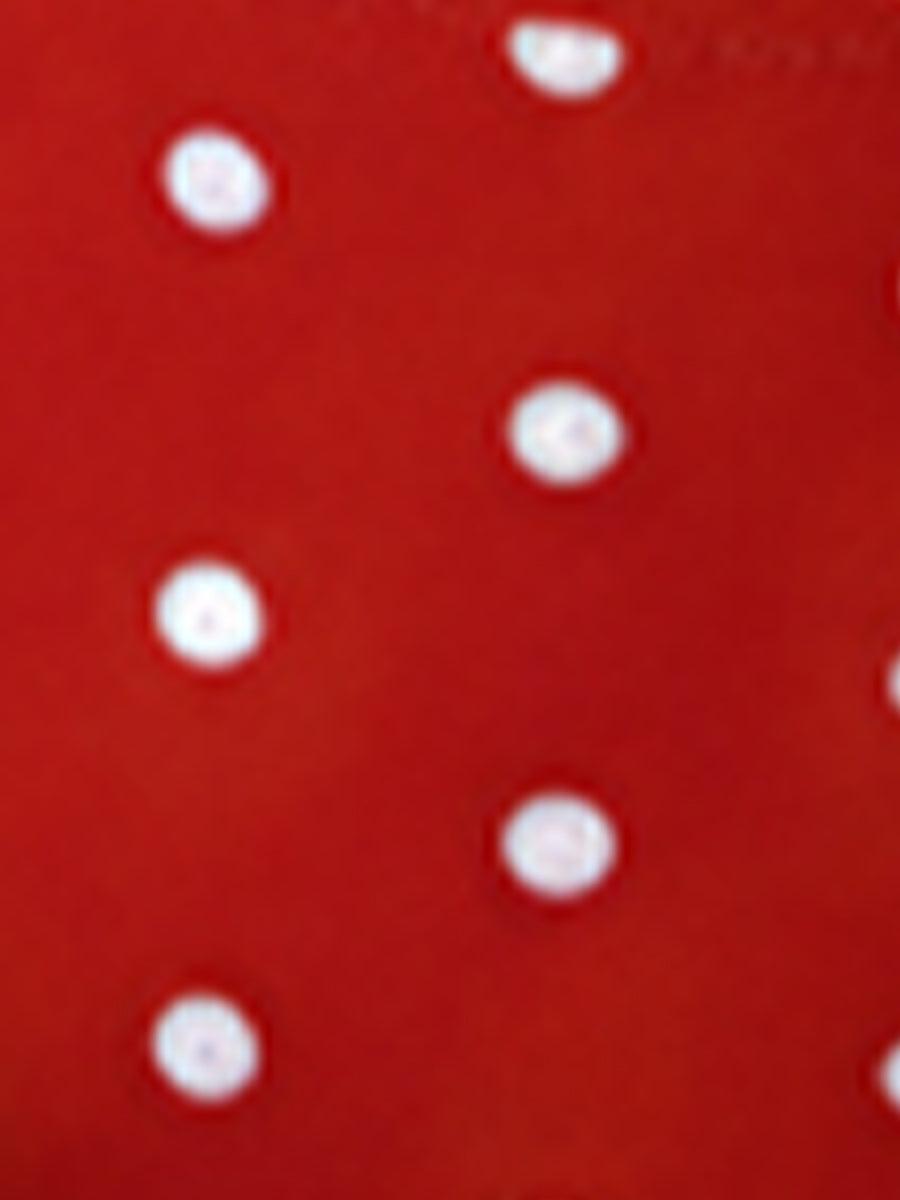 Polka Dot Triangle Cup Halter Neck Bikini Set