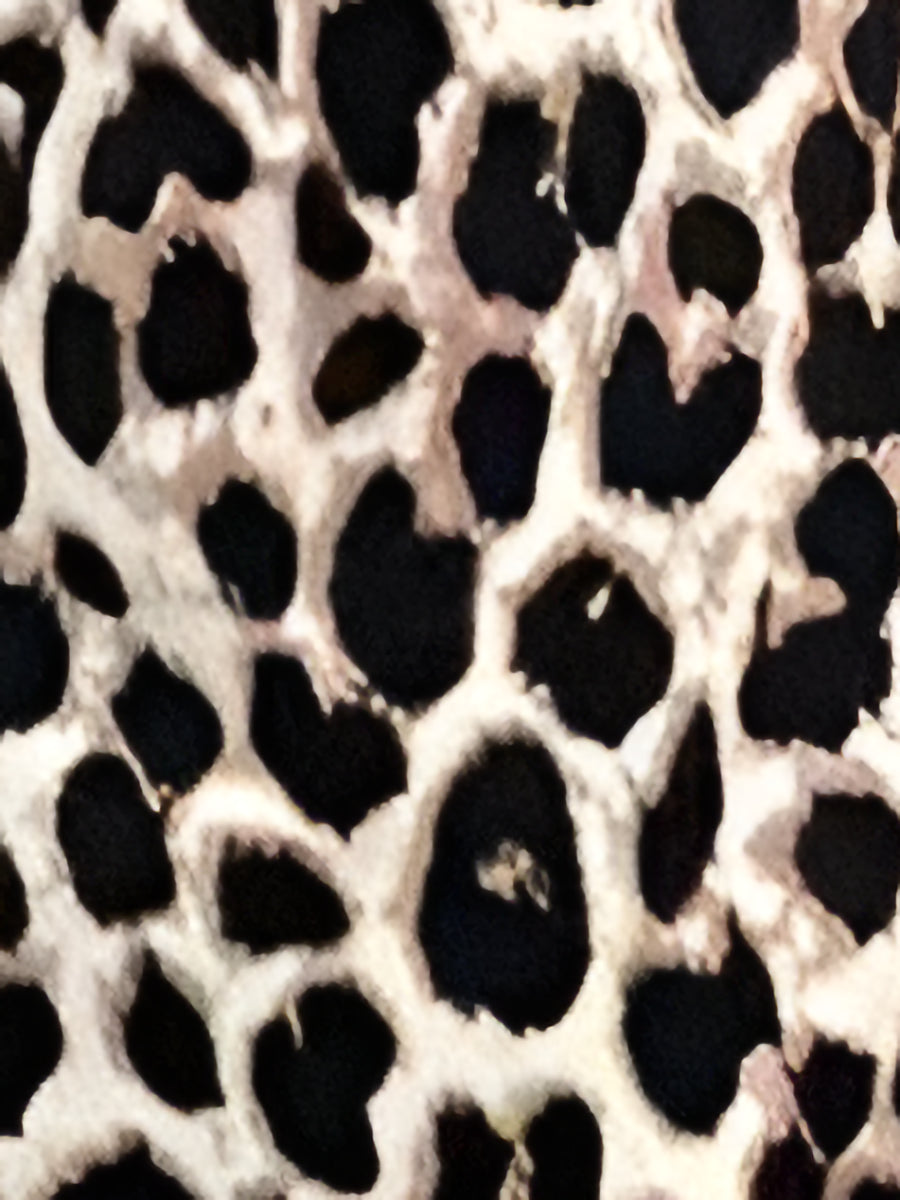 Leopard Print Sleeveless V Neck Wide Legs Jumpsuit