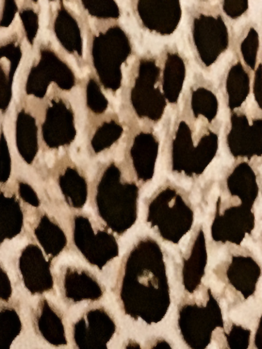 Leopard Print Sleeveless V Neck Wide Legs Jumpsuit