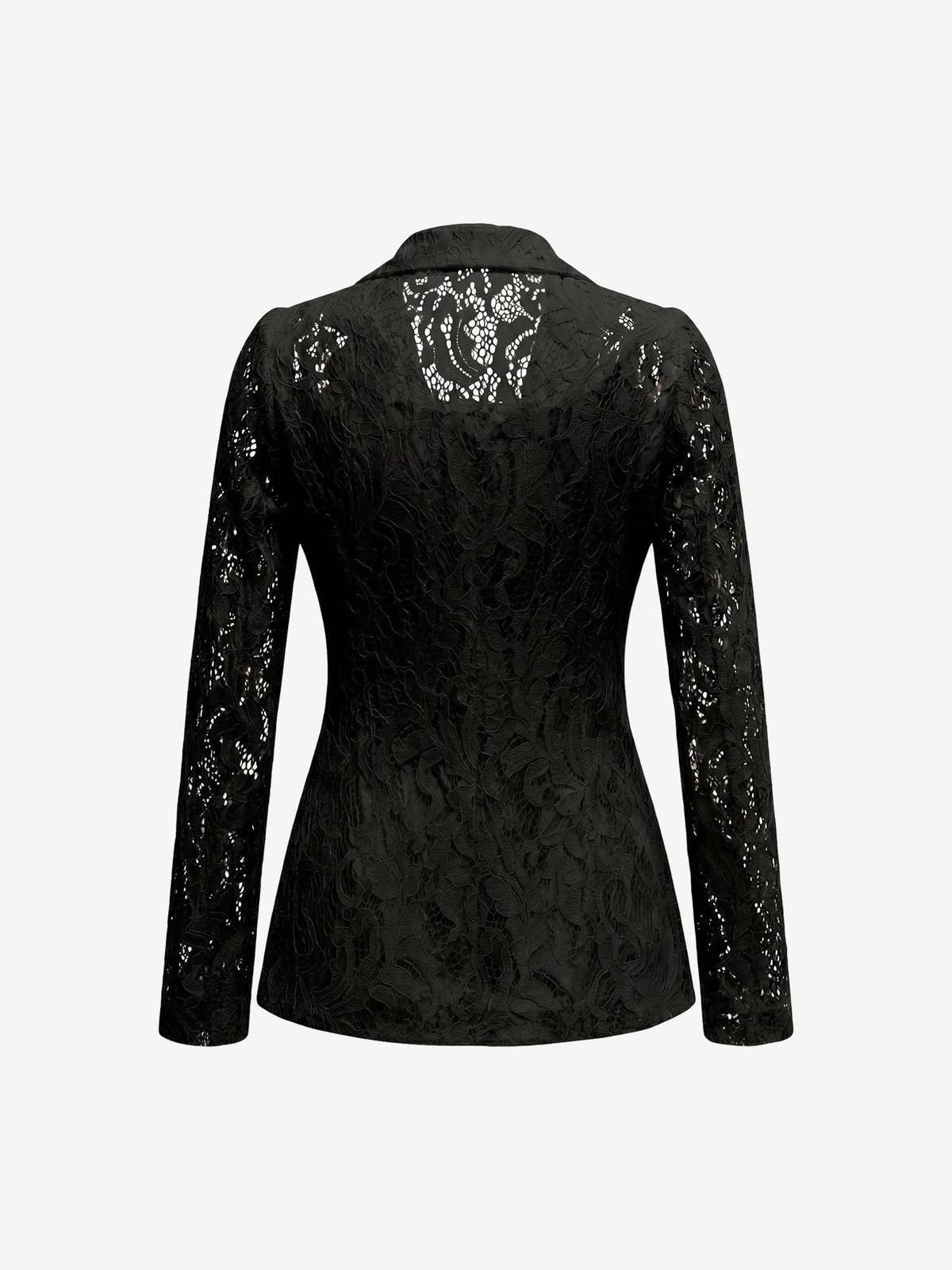 Lace Notch Lapel One Button Sheer Long Sleeves Blazer