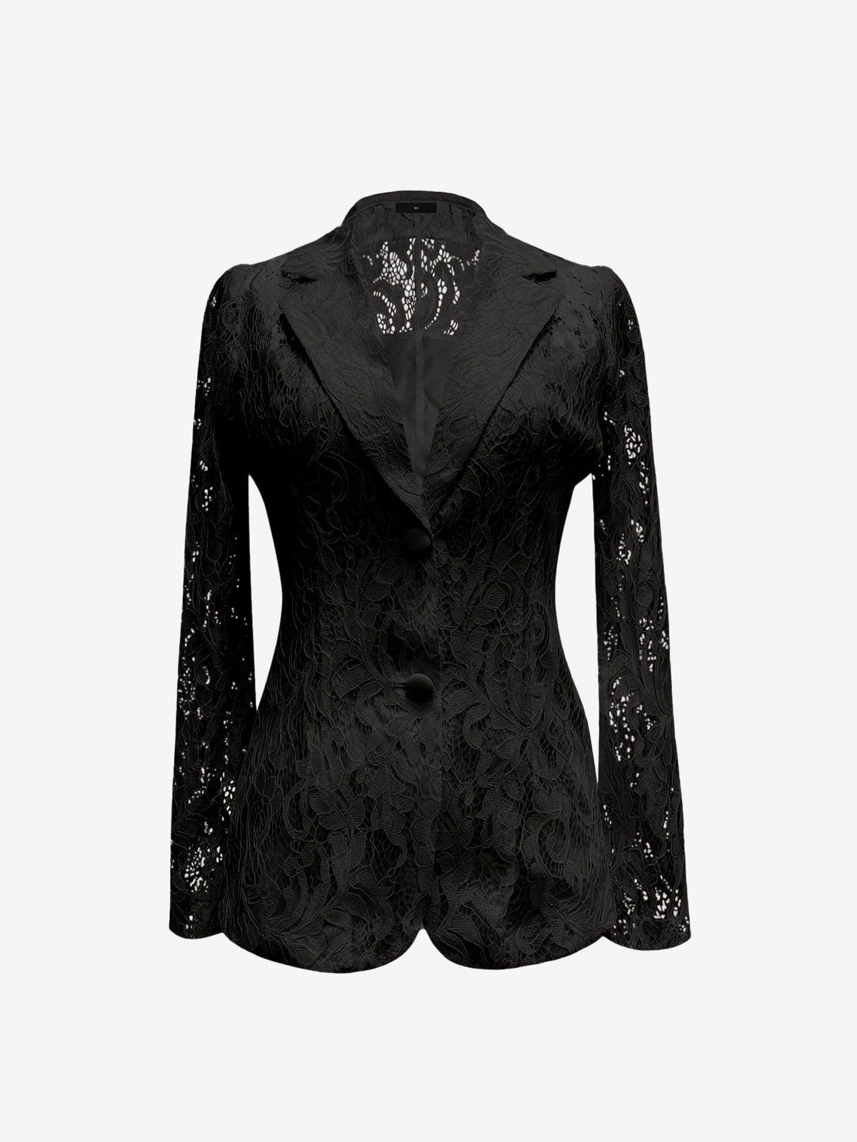 Lace Notch Lapel One Button Sheer Long Sleeves Blazer