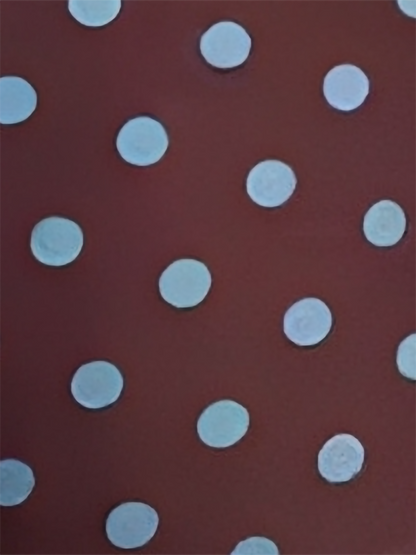 3 Pieces Halter Neck Polka Dot Triangle Cut Tie Side Bikini