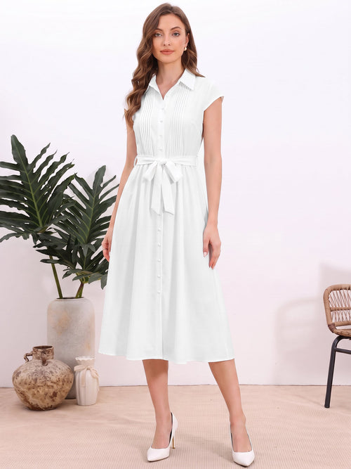 Minimalist Collared Waist-Cinched A-Line Shirt Dress