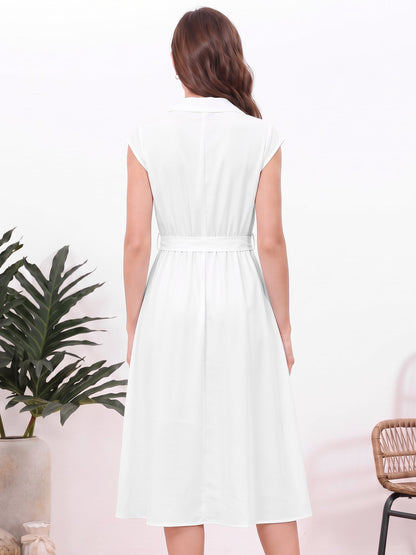 Minimalist Collared Waist-Cinched A-Line Shirt Dress
