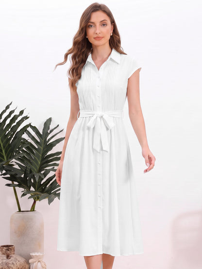 Minimalist Collared Waist-Cinched A-Line Shirt Dress