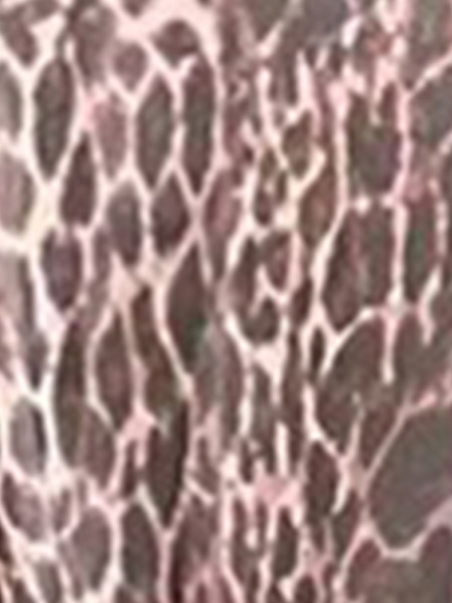 Sheer Leopard Long Sleeve Tiered Ruffled Dress