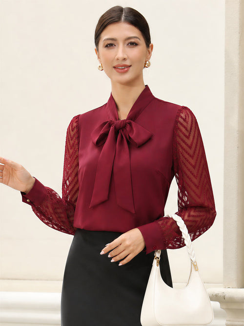 Bow Tie Neck Sheer Long Sleeves Office Blouse