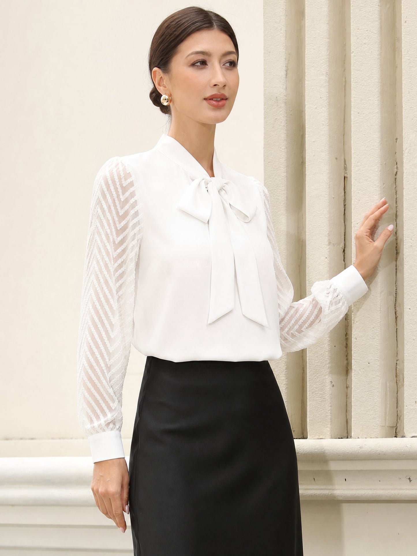 Bow Tie Neck Sheer Long Sleeves Office Blouse