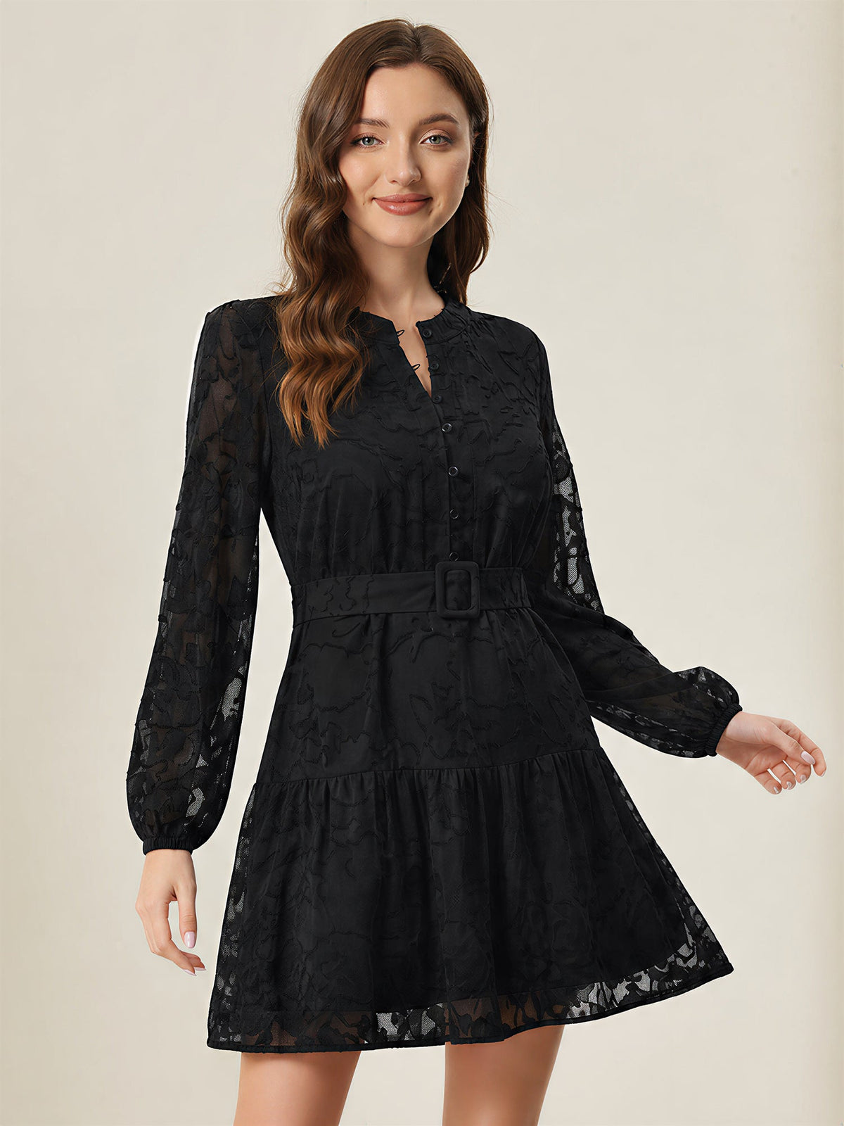 Textured Sheer Puff Sleeves Belted Tiered Mini A-Line Dress